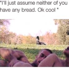 meme